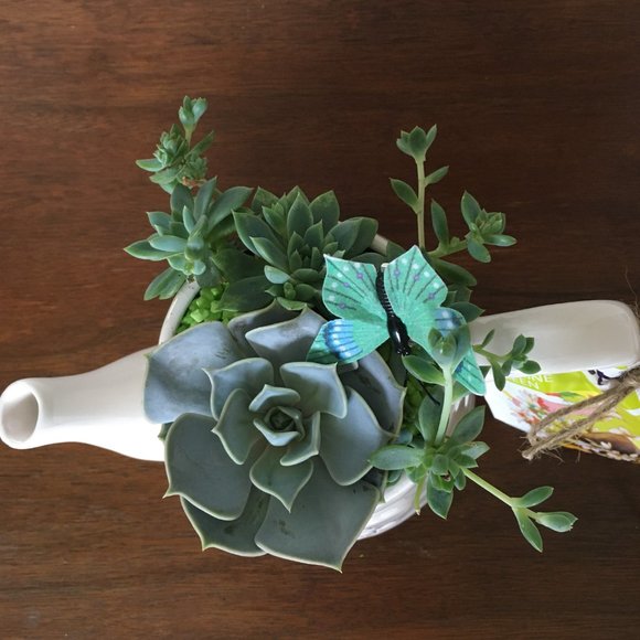 Teapot Planter! - Picture 2 of 2